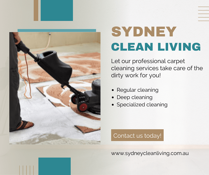 local carpet cleaning services in Pagewood