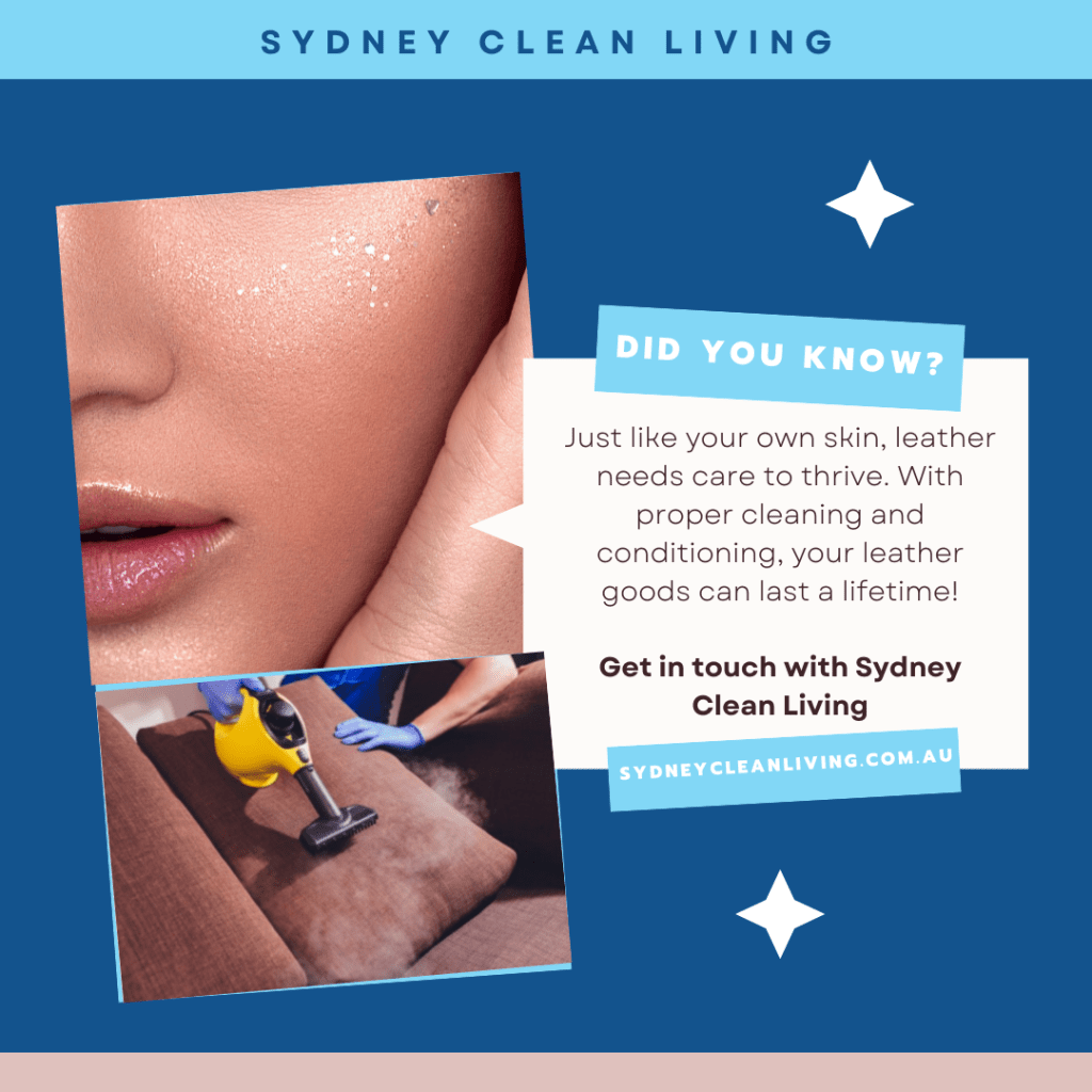 leather lounge cleaning sydney